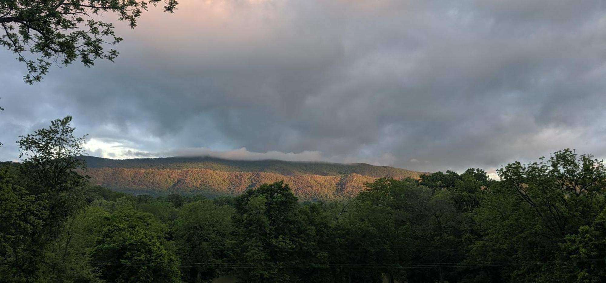 Riverside Serenity- A Picturesque Retreat Cottage Shenandoah Exteriér fotografie